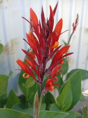 �������� ����: �������� � ����� � ����� ����� �� �������� �����