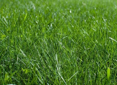 ���������������� ��� ������ �������: ������������ ������ ��� ������� �����