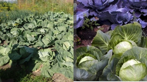 ��� ����� �������� ������� ������� ����������� ������ �� �����