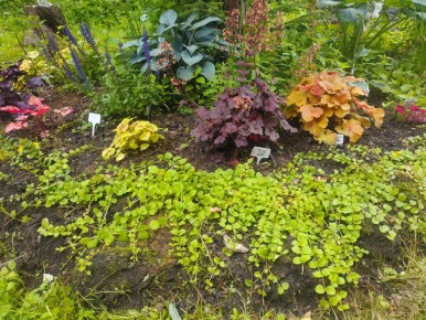 ��� ������� ���� �������� ���������� ������