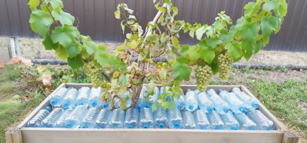 ��� ������� ������� ������ �� ����������� ����������: �������� ������