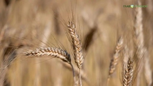 ������� ���������� ������ ����� � ������ � ������