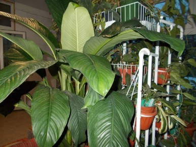 ��������� �������� �������: � ����� ������ ������� ������ �������� �������?