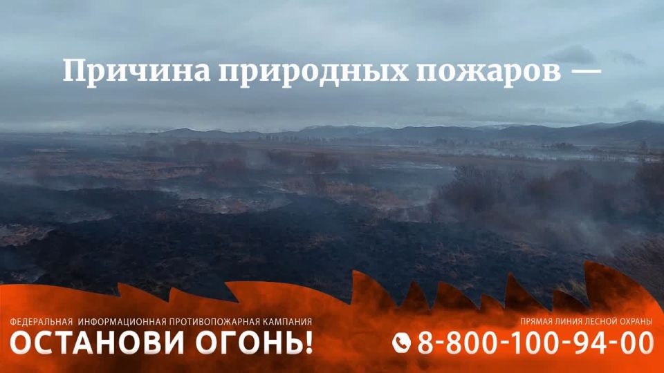 � ������ �������������� ������ ������������� ���� ������������� ��������� �������