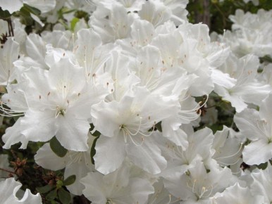 ������: ��� ������� ��������� ������� ��� ������ ��������