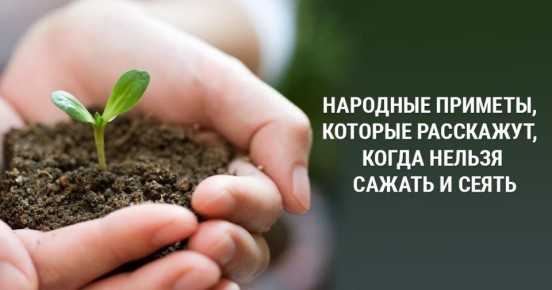 ��������� ��� ��� �������: ��������� �������� ������� �� ��������