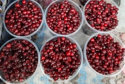 ��������: ���������� ��� ����� � �� ������