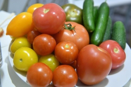 ������������� ��������� �������� � �������: ����� ��������� ��� ���������