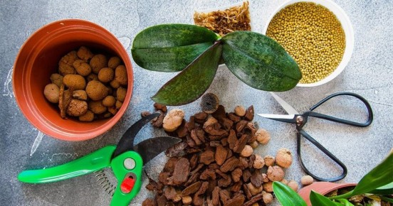 ������� ����� �� ���������: ����� � ��� ������������ ��� ���������� ��������