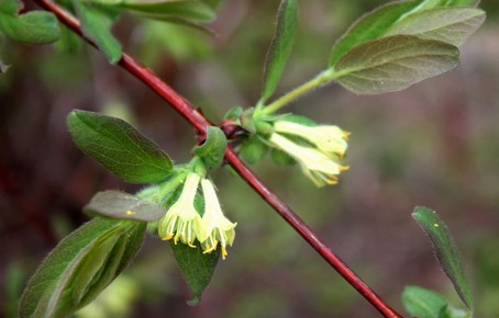 ���������: ������� � �������� � �����