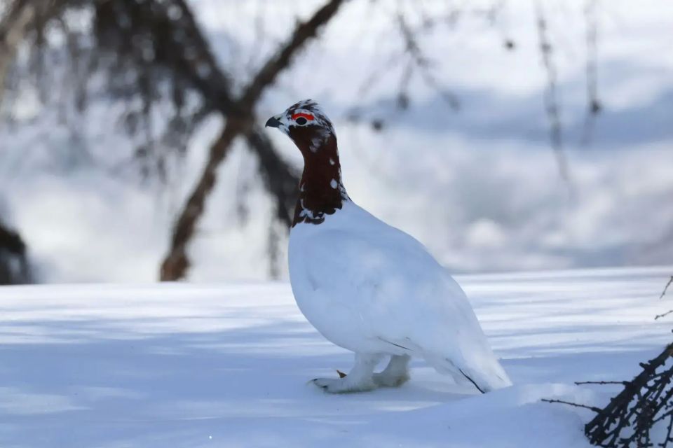 �� �������, 28 ������, � ����������� ������� �������