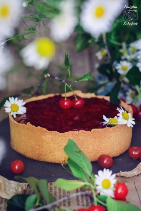 �������� �������: ������� � �������������� ������ ��� ����������