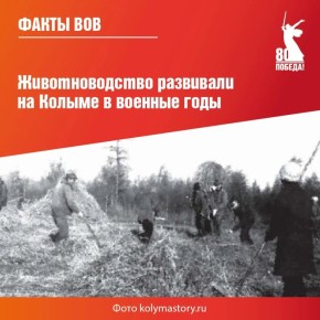 ����������� �������� ������� ������� � ���������� ������ �������� ��������� ��������� �� ������