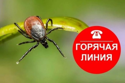 � ���������� ���������������� �� ����������� ������� ��������� ������� ����� �� ������������ ��������� ����������