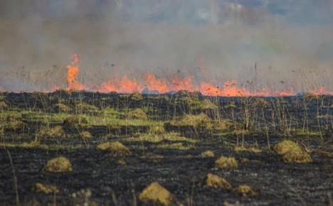 ���������� � �������� ������������ �� ������ ��������������������� ����������