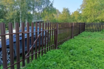 ������� ���� �� ����������� �������������: ��� �������� ���� ��� �� ��������