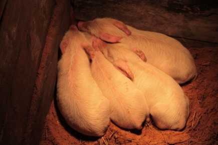 ������� ���������� ������ � ������ ������