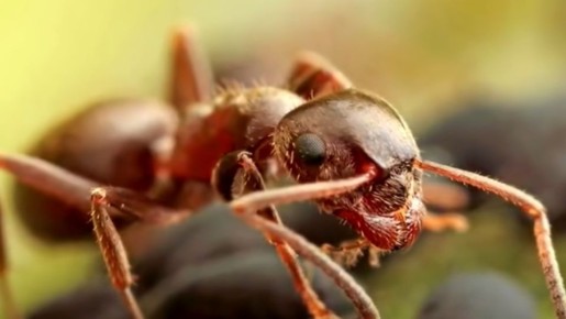 9 �������� �������� ���������� �� �������� �� ������������ �������