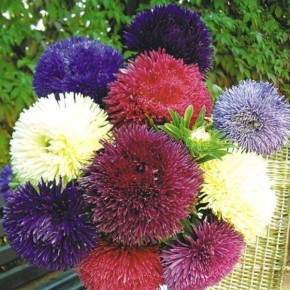 ���������� �����: ������� ��������� ����������� � ���� �� ����������