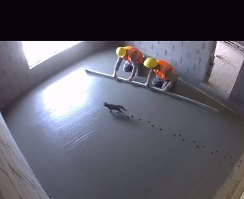 ������, ������� ������� �������� � ������ � ���� ��������� ���� � ����� �������� #�����������������49!