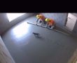 ������, ������� ������� �������� � ������ � ���� ��������� ���� � ����� �������� #�����������������49!