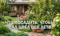 ��� ������� �������� ��� �� ��� ����: ��������� �������� ��� ������ �������