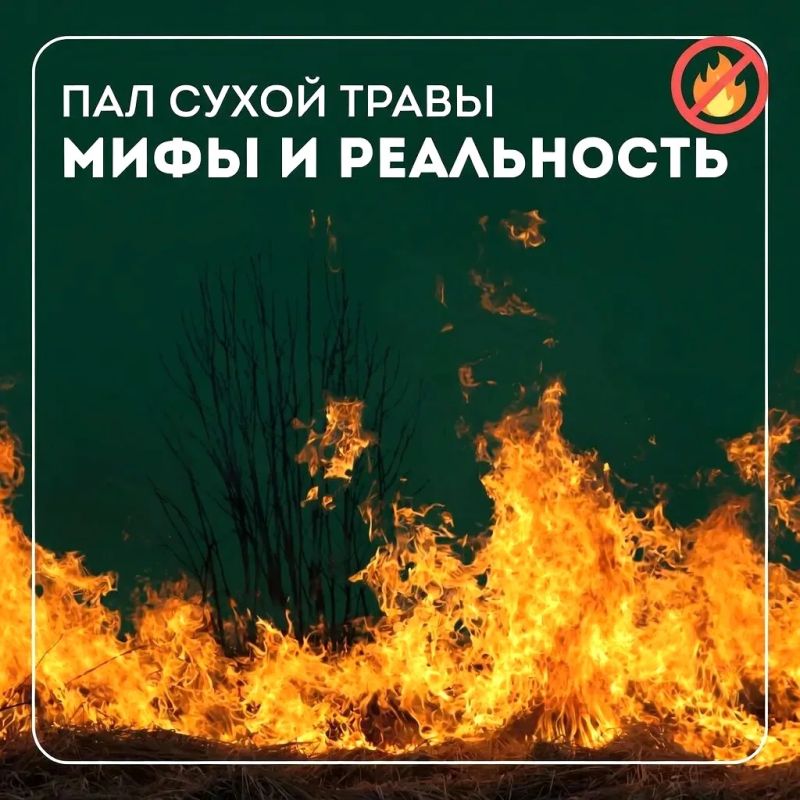 Пал травы может обернуться трагедией!