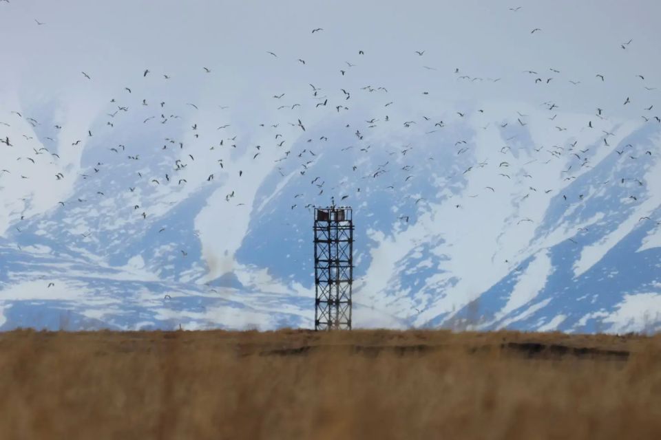 В пятницу, 22 мая, в Магаданской области преимущественно облачно