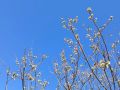 В Магадане +6, +8°C, переменная облачность