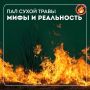Пал сухой травы запрещен – он может стать причиной пожаров!
