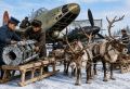 Северные олени спасали жизни солдат и драгоценную технику в годы Великой Отечественной
