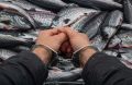 Разыскиваемый браконьер ответил за насилие против стражей порядка на Колыме