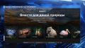 Краснокнижники Колымы просят привлечь к себе внимание в голосовании