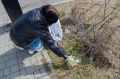 ���������� ���������� �� ���������� ���������