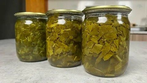 Освежающий холодный щавелевый суп: идеальное летнее блюдо