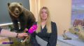 Фонд Сеймчанского краеведческого музея насчитывает более 14 тысяч коллекционных единиц