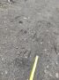 Медведь загрыз мужчину в Магаданской области