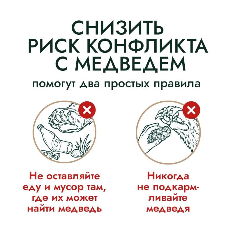 В начале летнего туристического сезона эксперты проекта «Земля медведя: правила добрососедства» напоминают о правилах поведения при встрече с медведем В начале летнего туристического сезона эксперты проекта «Земля медведя: правила добрососедства» напоминают о правилах поведения при встрече с медведем
