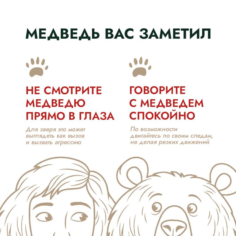 В начале летнего туристического сезона эксперты проекта «Земля медведя: правила добрососедства» напоминают о правилах поведения при встрече с медведем В начале летнего туристического сезона эксперты проекта «Земля медведя: правила добрососедства» напоминают о правилах поведения при встрече с медведем