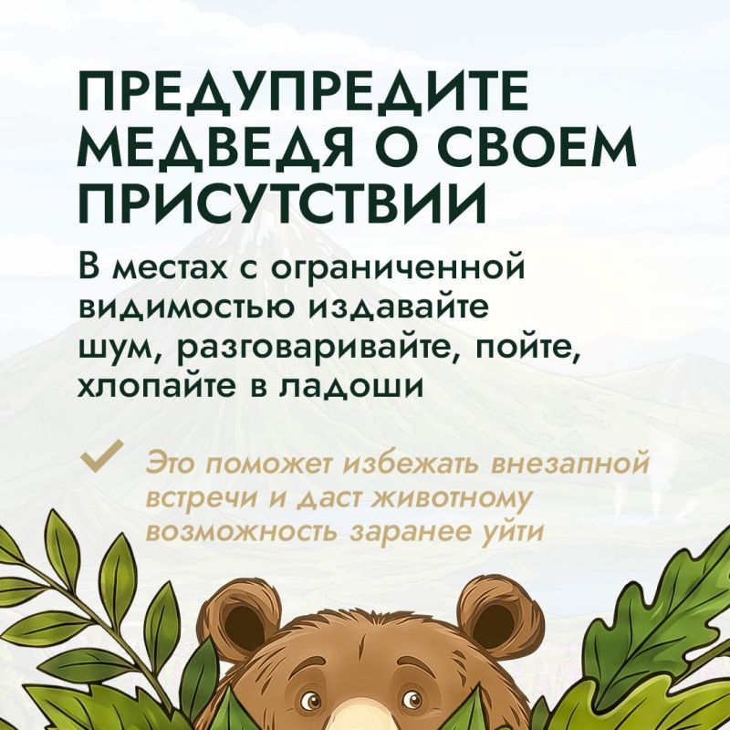В начале летнего туристического сезона эксперты проекта «Земля медведя: правила добрососедства» напоминают о правилах поведения при встрече с медведем В начале летнего туристического сезона эксперты проекта «Земля медведя: правила добрососедства» напоминают о правилах поведения при встрече с медведем