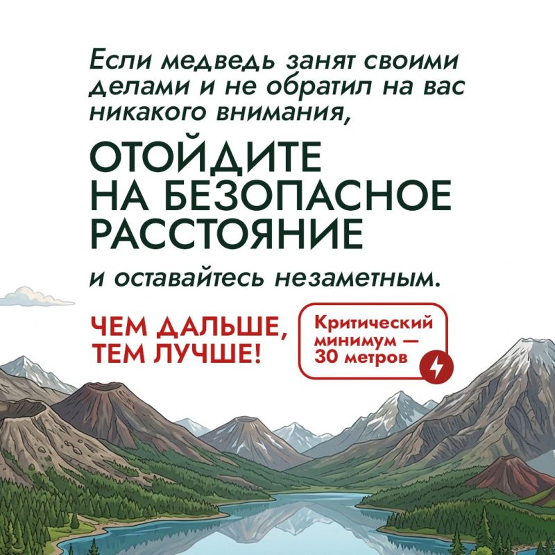 В начале летнего туристического сезона эксперты проекта «Земля медведя: правила добрососедства» напоминают о правилах поведения при встрече с медведем В начале летнего туристического сезона эксперты проекта «Земля медведя: правила добрососедства» напоминают о правилах поведения при встрече с медведем
