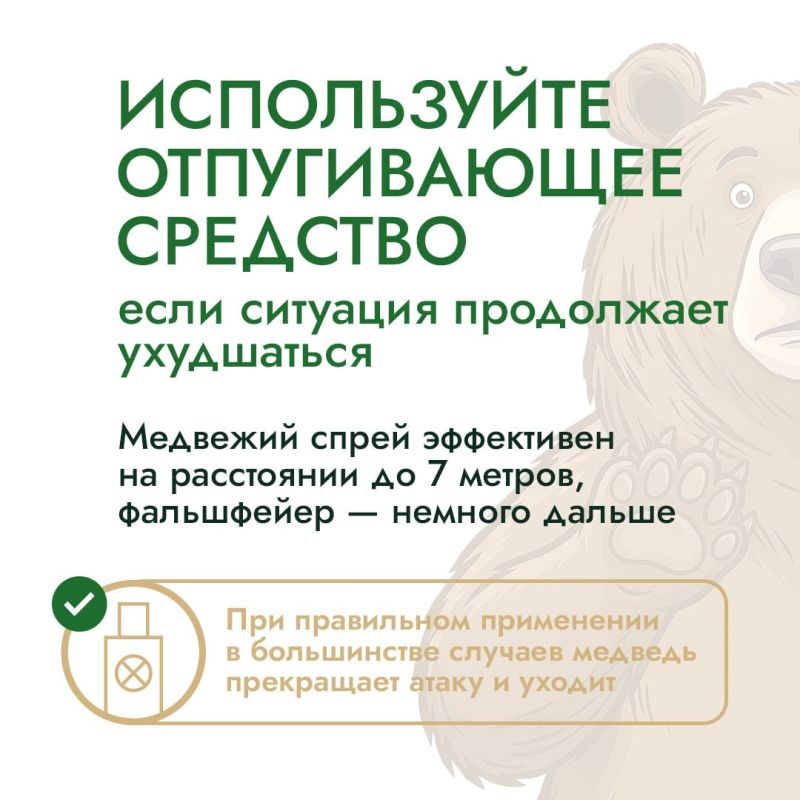 В начале летнего туристического сезона эксперты проекта «Земля медведя: правила добрососедства» напоминают о правилах поведения при встрече с медведем В начале летнего туристического сезона эксперты проекта «Земля медведя: правила добрососедства» напоминают о правилах поведения при встрече с медведем