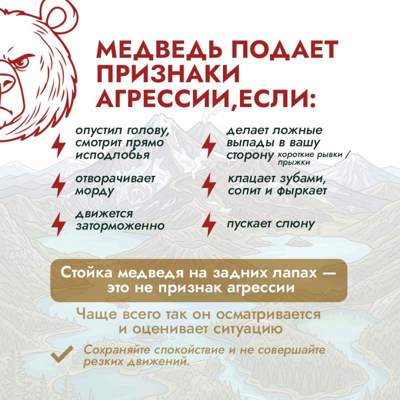 В начале летнего туристического сезона эксперты проекта «Земля медведя: правила добрососедства» напоминают о правилах поведения при встрече с медведем В начале летнего туристического сезона эксперты проекта «Земля медведя: правила добрососедства» напоминают о правилах поведения при встрече с медведем