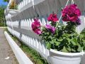 Первая в Магадане цветочная ярмарка состоится 18 июля