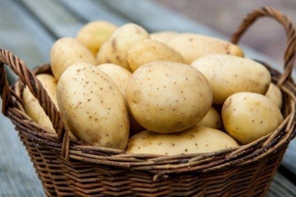 Выращивание картофеля: советы для успешного урожая