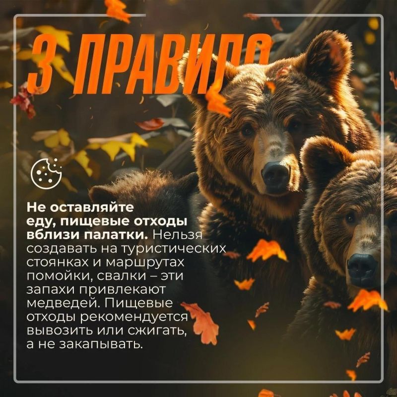 Собираетесь на рыбалку или в поход? Чтобы ваше приключение не превратилось в опасную историю, изучите советы, как предостеречь себя от встречи с медведем Собираетесь на рыбалку или в поход? Чтобы ваше приключение не превратилось в опасную историю, изучите советы, как предостеречь себя от встречи с медведем