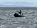ВНИМАНИЕ!. С 27 по 31 июля в реках, впадающих в Охотское море, вводится запрет на вылов тихоокеанских лососей На территории Магаданской области проводится профилактическое мероприятие, направленное на борьбу с браконьерством...