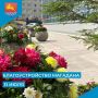 Ежедневное сезонное благоустройство областного центра ведут городские службы