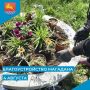 Ежедневное сезонное благоустройство областного центра ведут городские службы