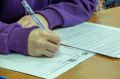 Девятиклассники Колымы будут сдавать ОГЭ по истории по обновленным материалам